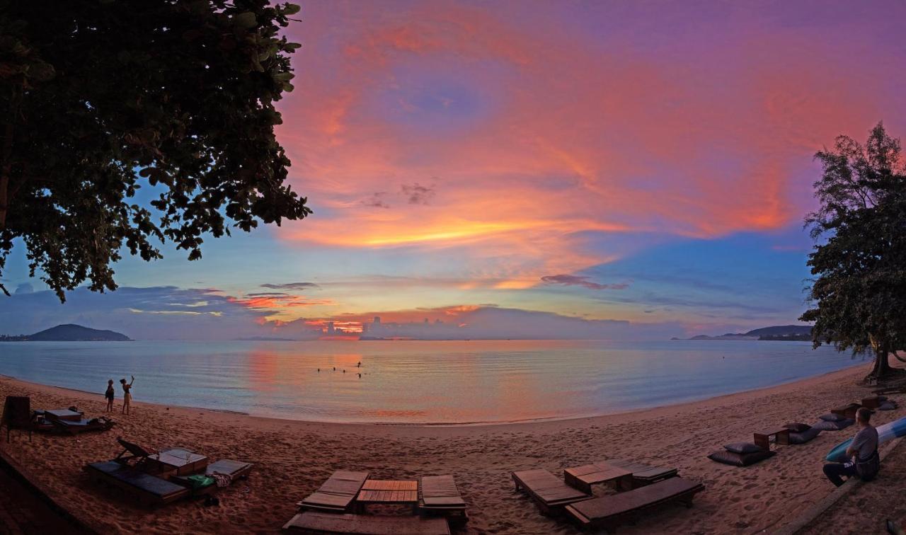 Satva Samui Yoga And Wellness Resort Amphoe Koksamui Zewnętrze zdjęcie